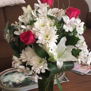 Meet your Posher, Ann